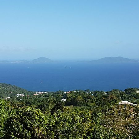 Trois-Rivières L'Ilot Fruits Guadeloupeヴィラ エクステリア 写真