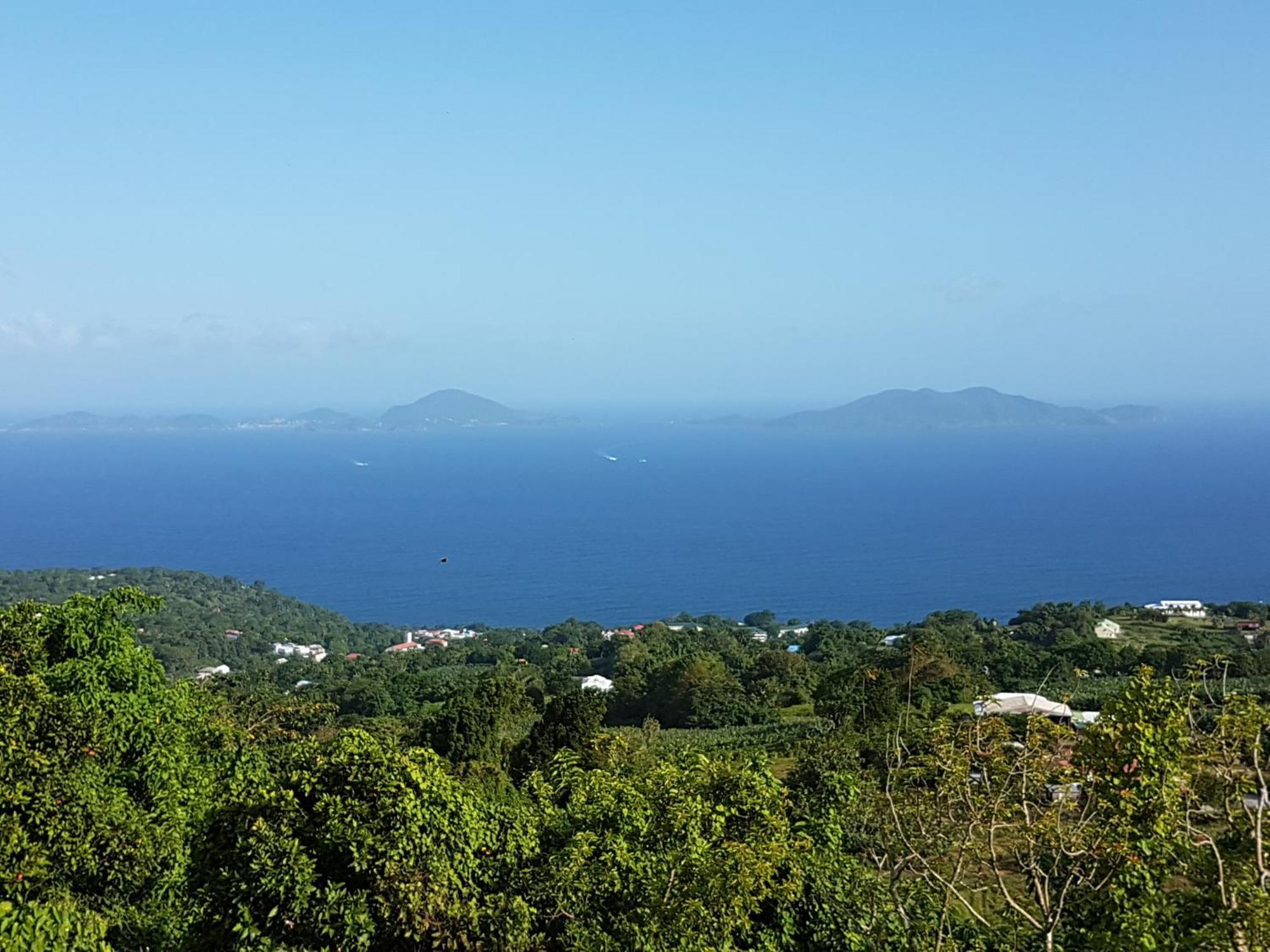 Trois-Rivières L'Ilot Fruits Guadeloupeヴィラ エクステリア 写真