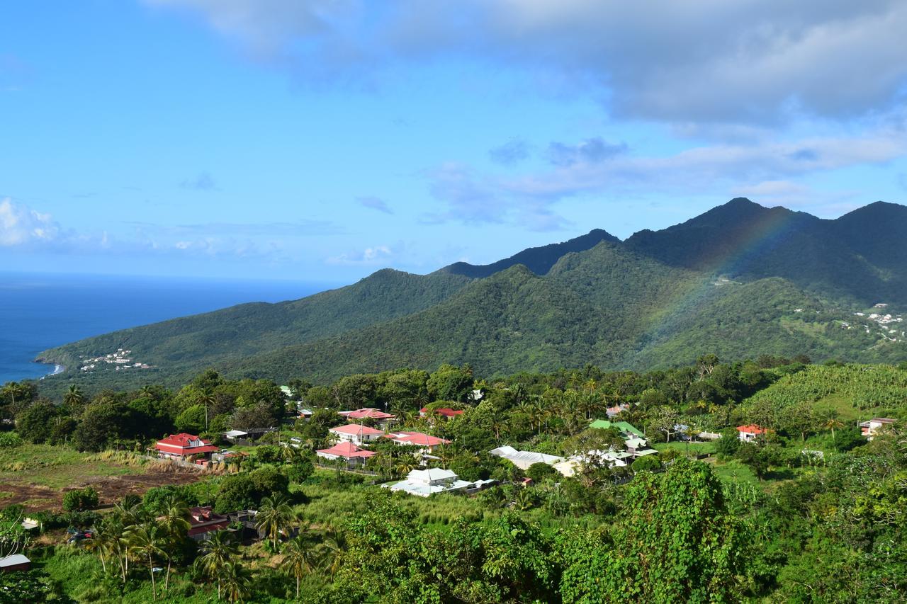 Trois-Rivières L'Ilot Fruits Guadeloupeヴィラ エクステリア 写真