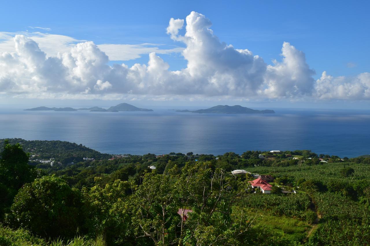 Trois-Rivières L'Ilot Fruits Guadeloupeヴィラ エクステリア 写真